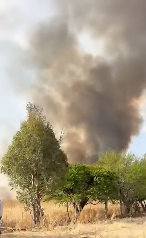 Se registra incendio forestal en «El Talayote»