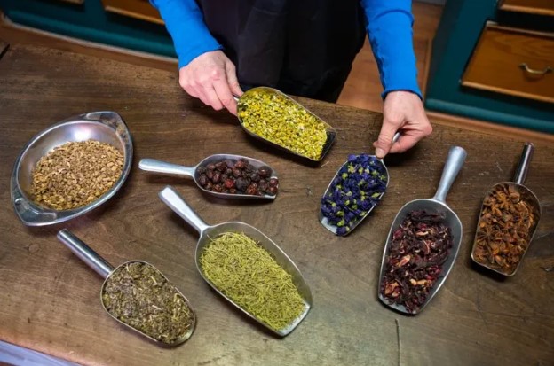 El boom de las plantas medicinales