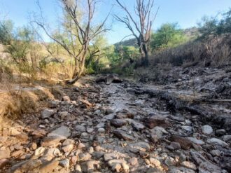 Declara ONU bancarrota hídrica mundial