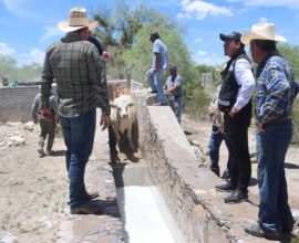 Entrega Pier Michel apoyos a ganaderos en 1ro de Mayo 