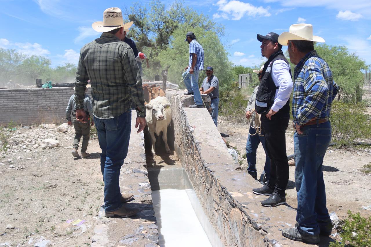 Entrega Pier Michel apoyos a ganaderos en 1ro de Mayo
