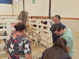 Esterilizan 100 mascotas en Jalpa