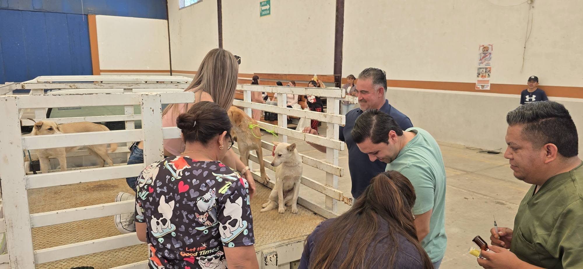 Esterilizan 100 mascotas en Jalpa