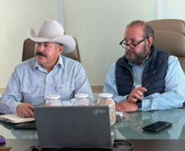 Buscan colocar frijol fresnillense en los grandes  supermercados 