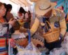 Jalpa conquista la capital con el sabor de la pitaya