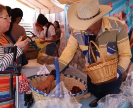 Jalpa conquista la capital con el sabor de la pitaya 