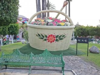 Inauguran el chiquihuite de pitayas más grande del mundo
