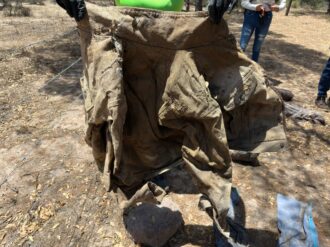 Hallan restos óseos calcinados en la sierra de Fresnillo 