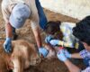 Gana terreno el GBG; Zacatecas registra 8 casos