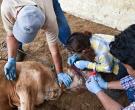 Gana terreno el GBG; Zacatecas registra 8 casos 