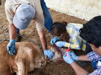 Gana terreno el GBG; Zacatecas registra 8 casos