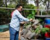 Emprenderán jornada de reforestación en Fresnillo