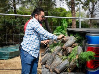 Emprenderán jornada de reforestación en Fresnillo