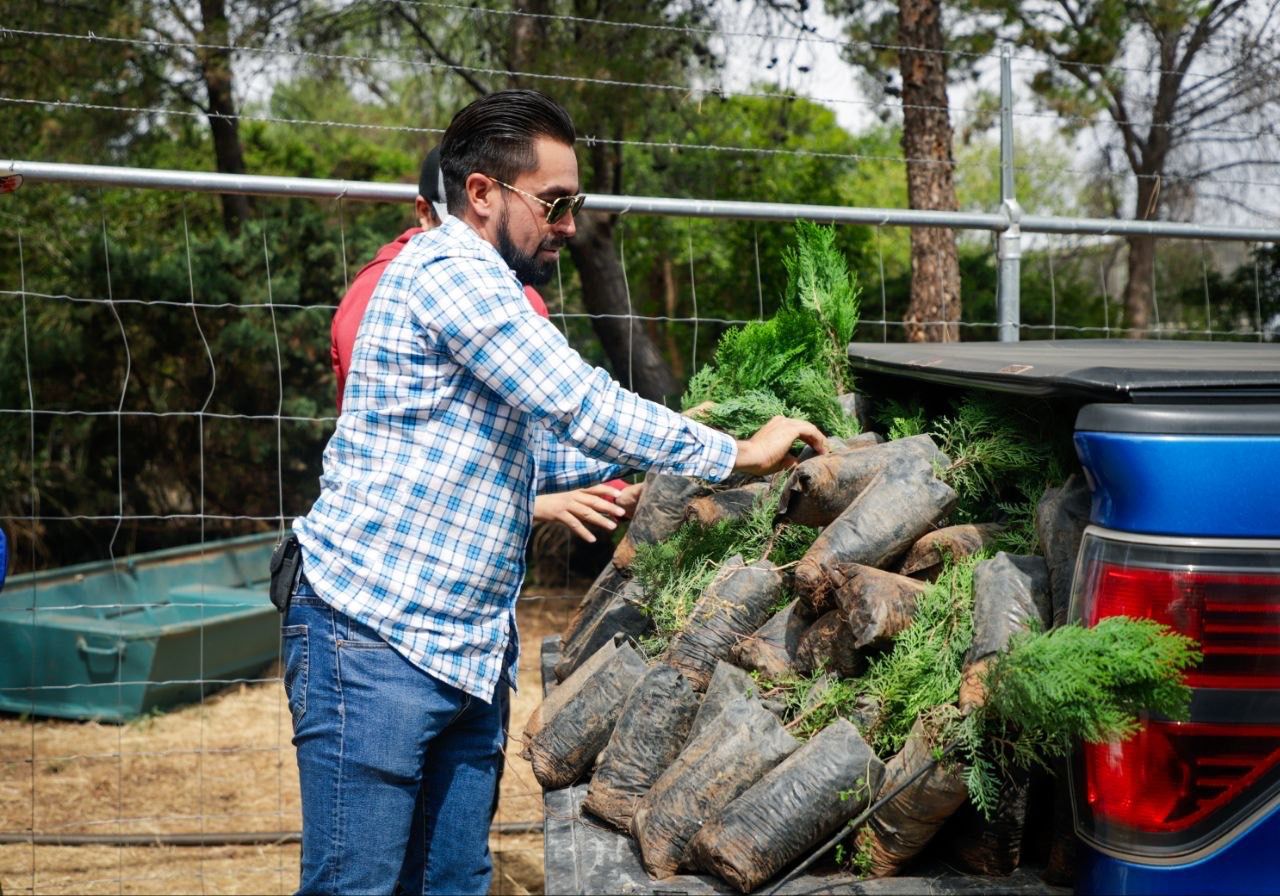 Emprenderán jornada de reforestación en Fresnillo