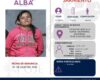 Servicio social