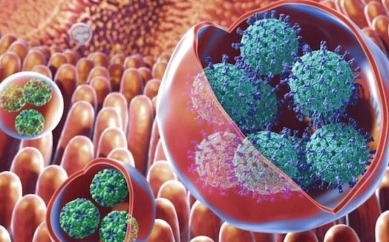 Aumenta brote de norovirus en Reino Unido, ve síntomas