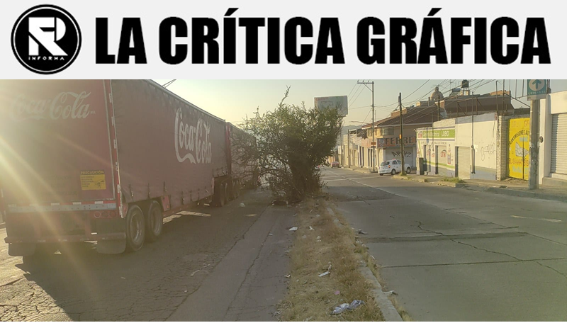 La Crítica Gráfica: Árbol invade vialidad