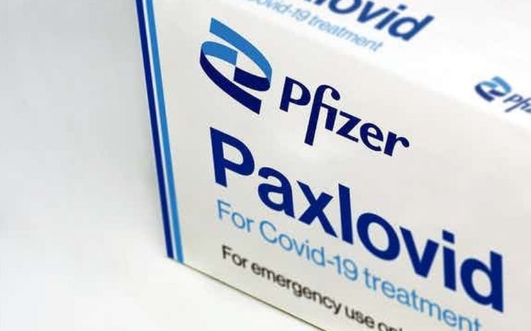 Cofepris autoriza la pastilla de Pfizer contra el Covid-19