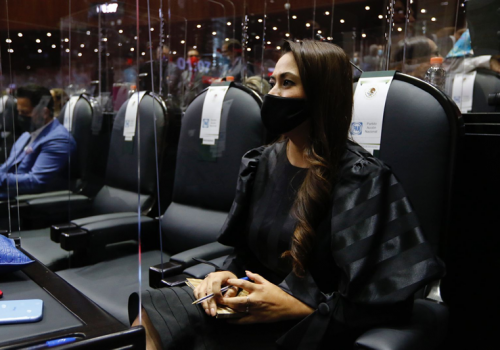 LEY DE PRIMER EMPLEO PARA GARANTIZAR A JÓVENES INCORPORACIÓN AL CAMPO LABORAL