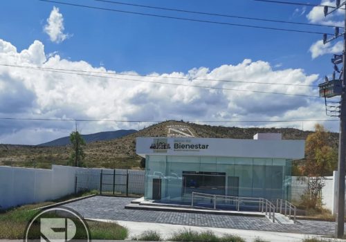 Critica Grafica: En medio de la nada