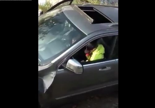 Video cuando está vivo ‘Benito»