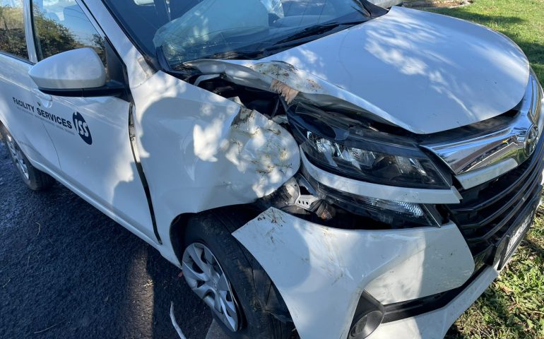 SU AMOR POR LA NATURALEZA LO MOTIVÓ A CHOCAR CONTRA UN ÁRBOL