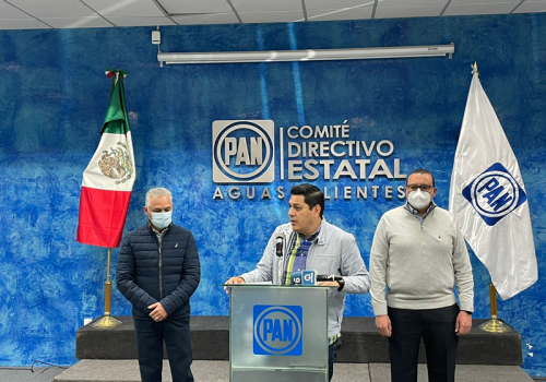 EN FEBRERO LA CONSULTA QUE DEFINA CANDIDATA DEL PAN