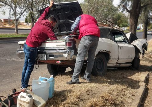PARÓ SU VELOZ AUTOMÓVIL CONTRA UN ÁRBOL