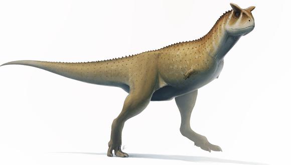 Descubren en Argentina nueva especie de dinosaurio sin brazos