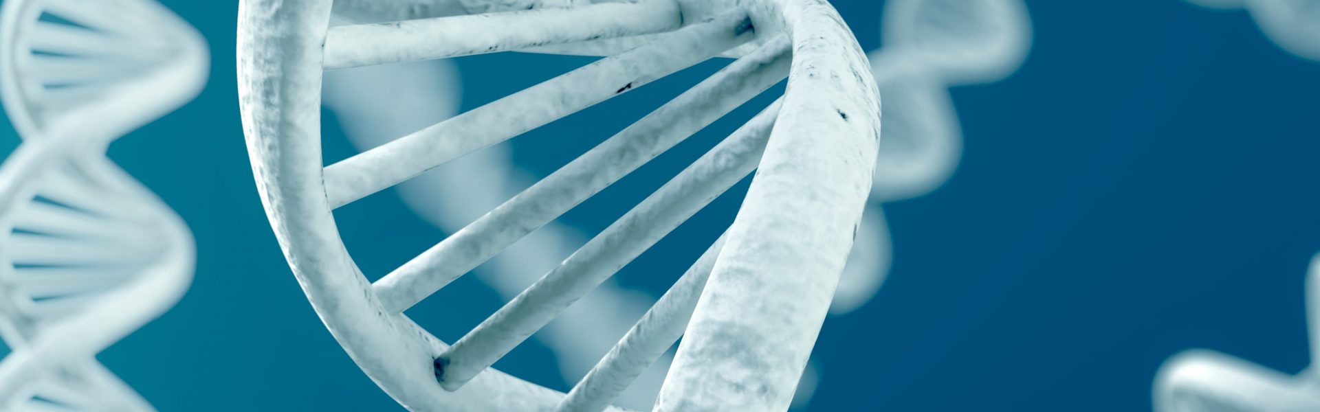 Científicos logran terminar de codificar el genoma humano