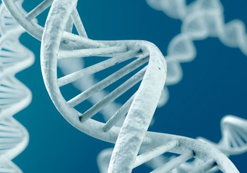 Científicos logran terminar de codificar el genoma humano