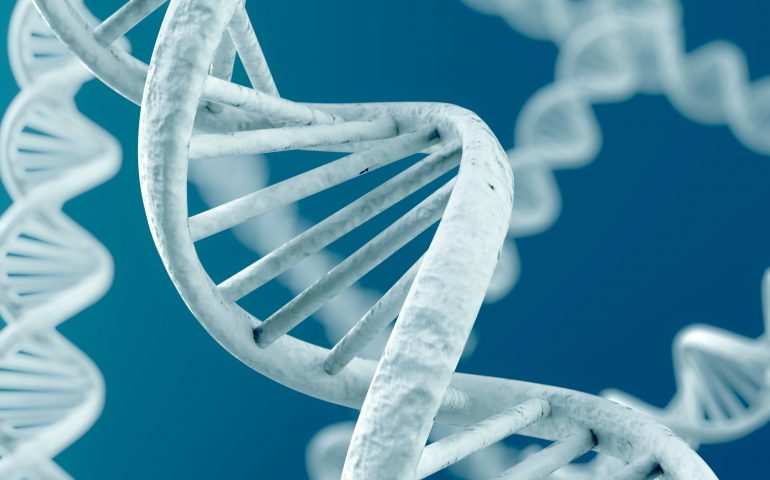 Científicos logran terminar de codificar el genoma humano