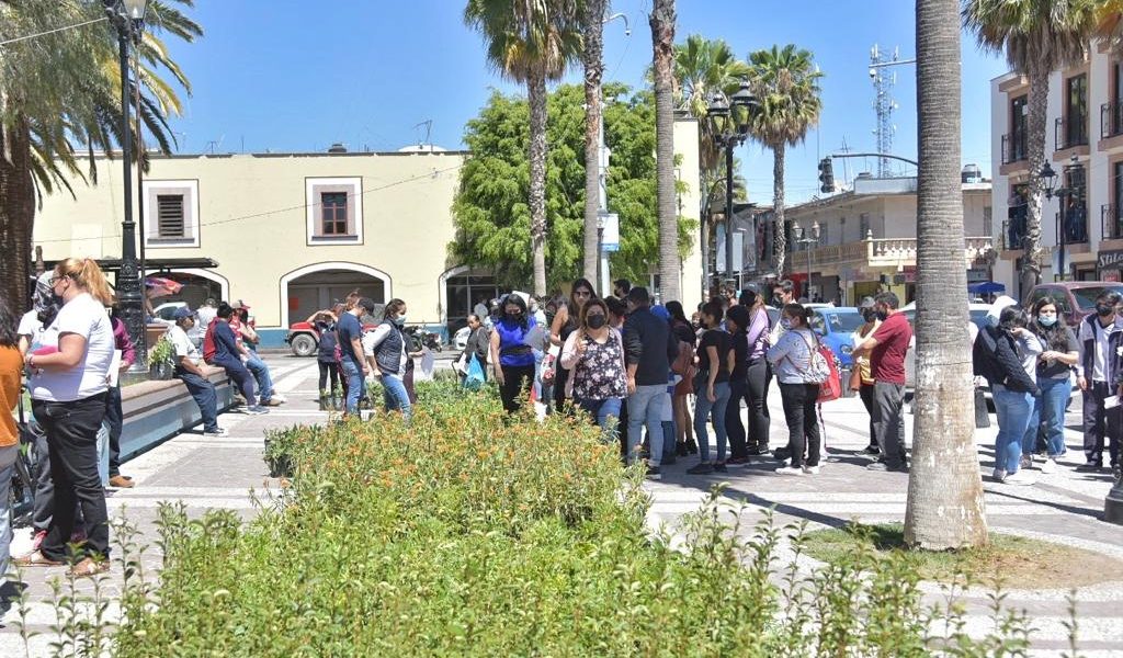 MÁS DE 10 MIL PLANTAS FUERON OTORGADAS EN JM