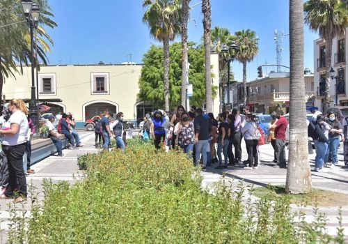 MÁS DE 10 MIL PLANTAS FUERON OTORGADAS EN JM