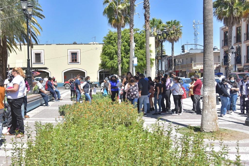 MÁS DE 10 MIL PLANTAS FUERON OTORGADAS EN JM