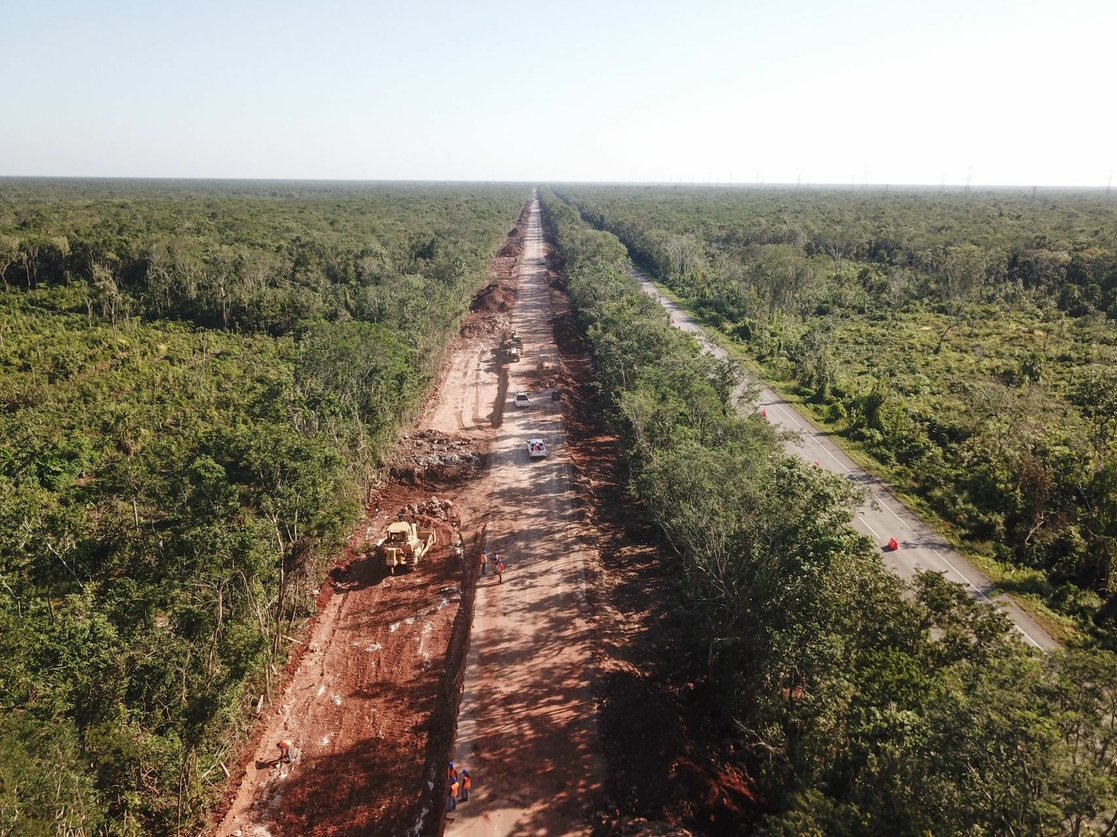 Derriban más de 20 mil árboles para el Tren Maya, se encuentran desaparecidos o descuidados