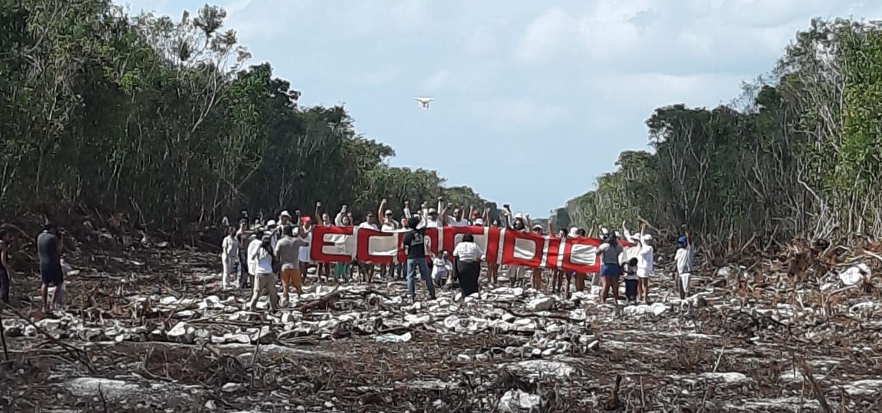 Niños, ambientalistas y organizaciones preparan amparos contra el Tren Maya