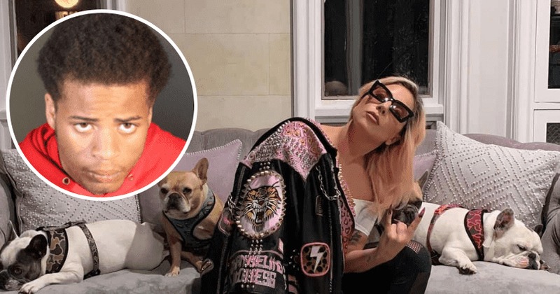 Sentencian a más de 20 años de cárcel al hombre que intentó robar los perros de Lady Gaga