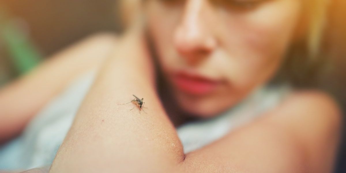 ¿Porque hay persona más atractivas para los mosquitos?