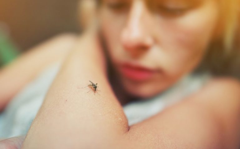 ¿Porque hay persona más atractivas para los mosquitos?
