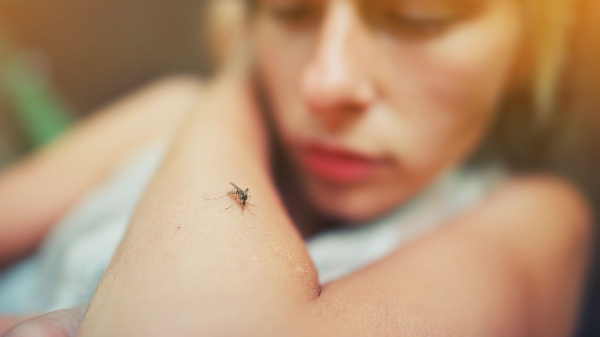 ¿Porque hay persona más atractivas para los mosquitos?