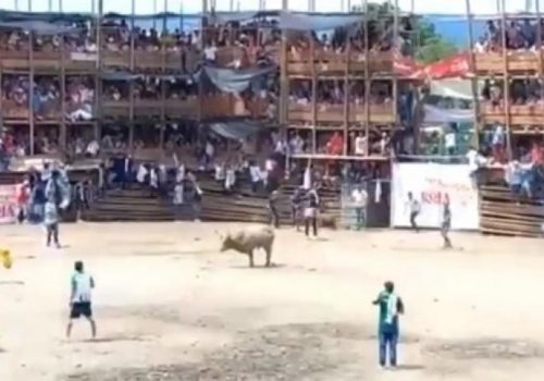 Se derrumba plaza de toros en Colombia, asistentes en vez de ayudar, matan al toro a cuchillazos