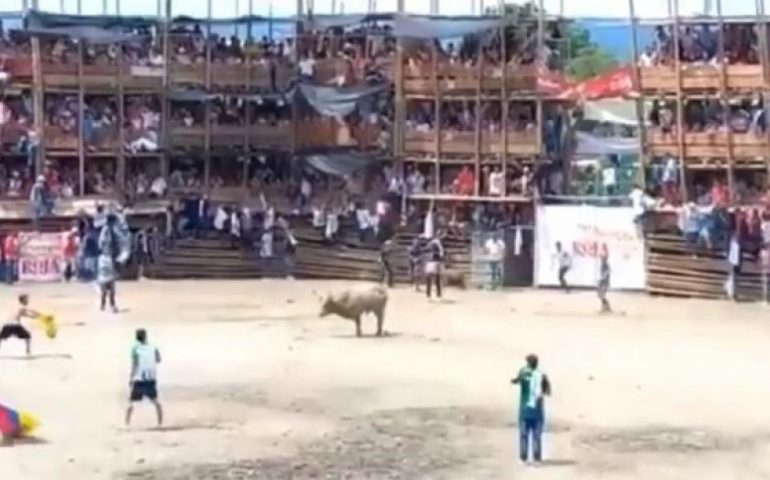 Se derrumba plaza de toros en Colombia, asistentes en vez de ayudar, matan al toro a cuchillazos
