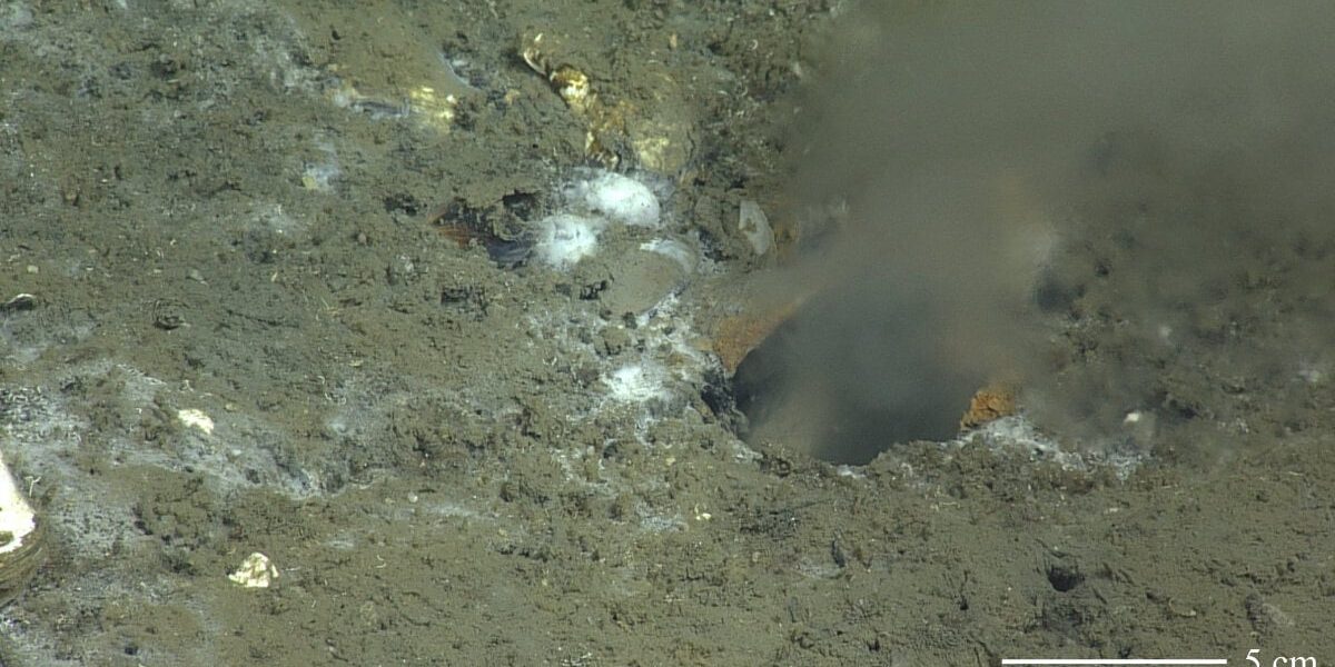 Descubren grieta en el fondo marino que podría causar terremoto de magnitud 9