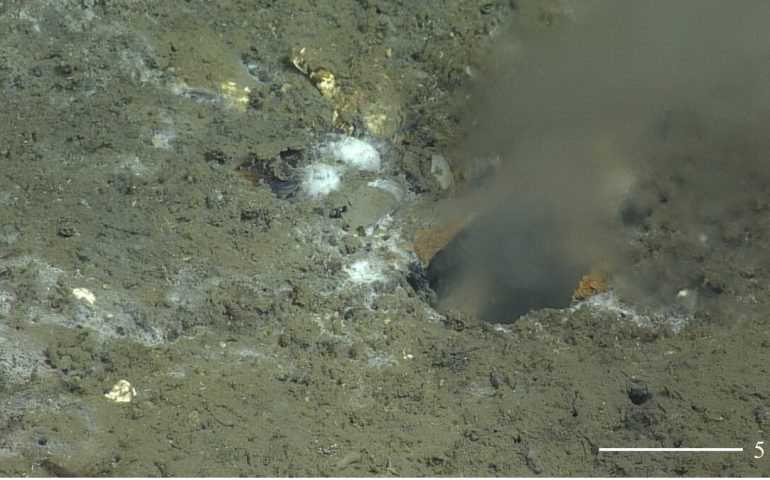 Descubren grieta en el fondo marino que podría causar terremoto de magnitud 9