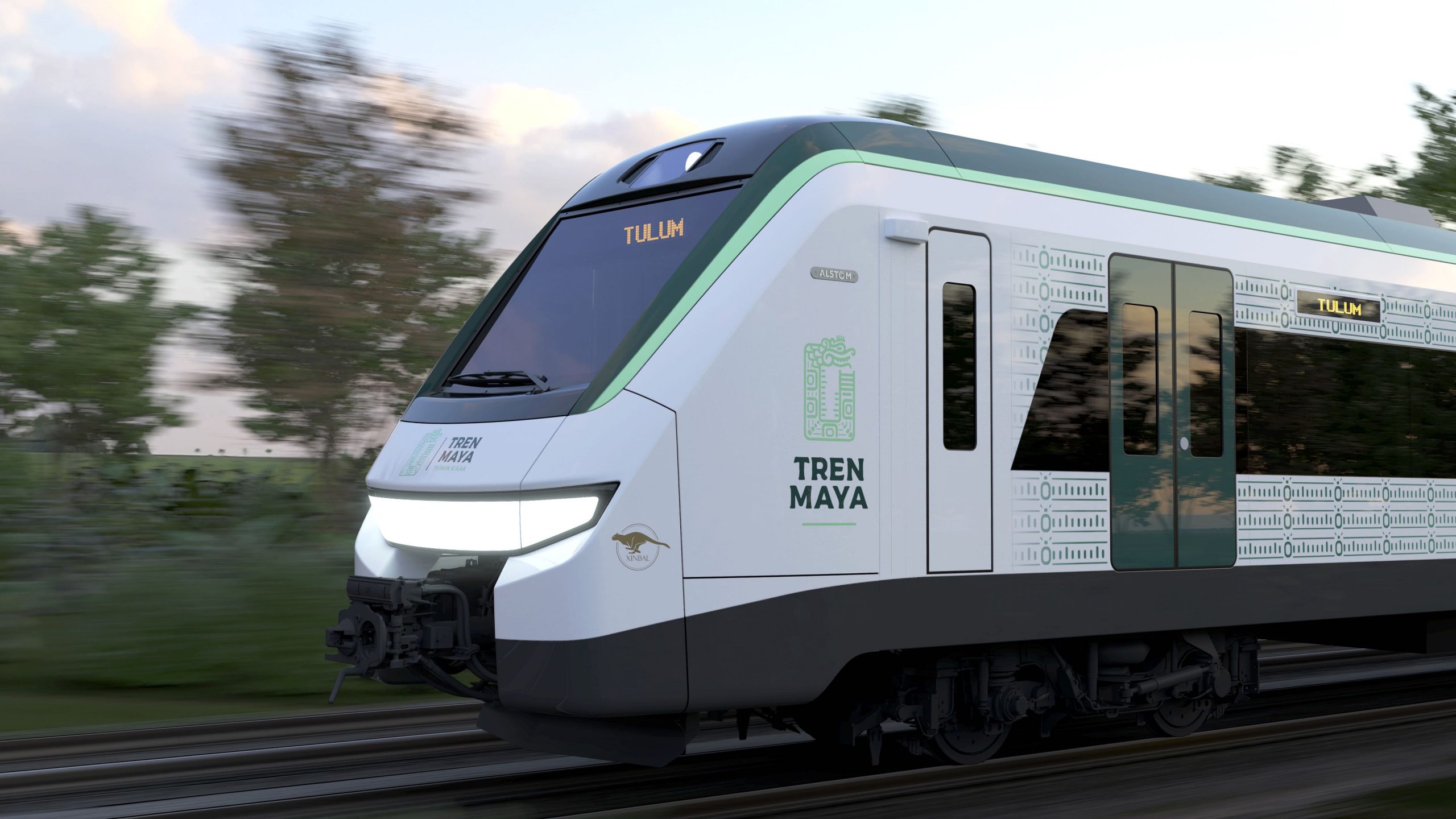 Pese a suspensión, gobierno reinicia las obras del tramo 5 del Tren Maya