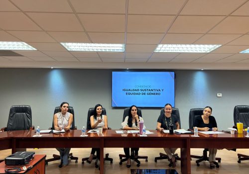 DIPUTADA ANA GÓMEZ CALZADA EXHORTA A LOS MUNICIPIOS A QUE ACLAREN SOBRE SU VOTO EN CONTRA DE LA “LEY 3 DE 3 POR LA VIOLENCIA DE GÉNERO”.