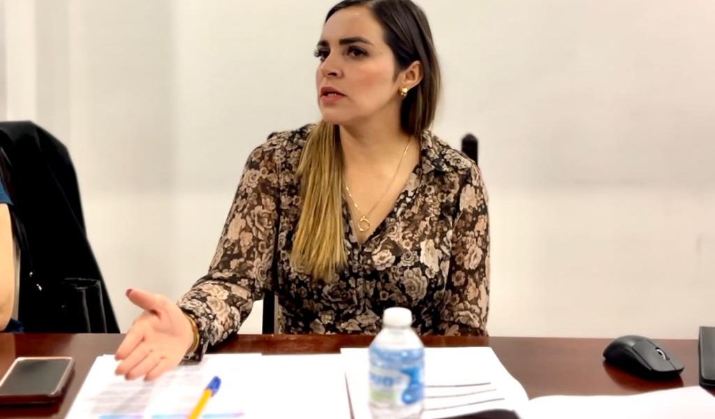 LA DIPUTADA ANA GÓMEZ CALZADA PRESENTA INICIATIVAS EN MATERIA DE CIBERDELITOS