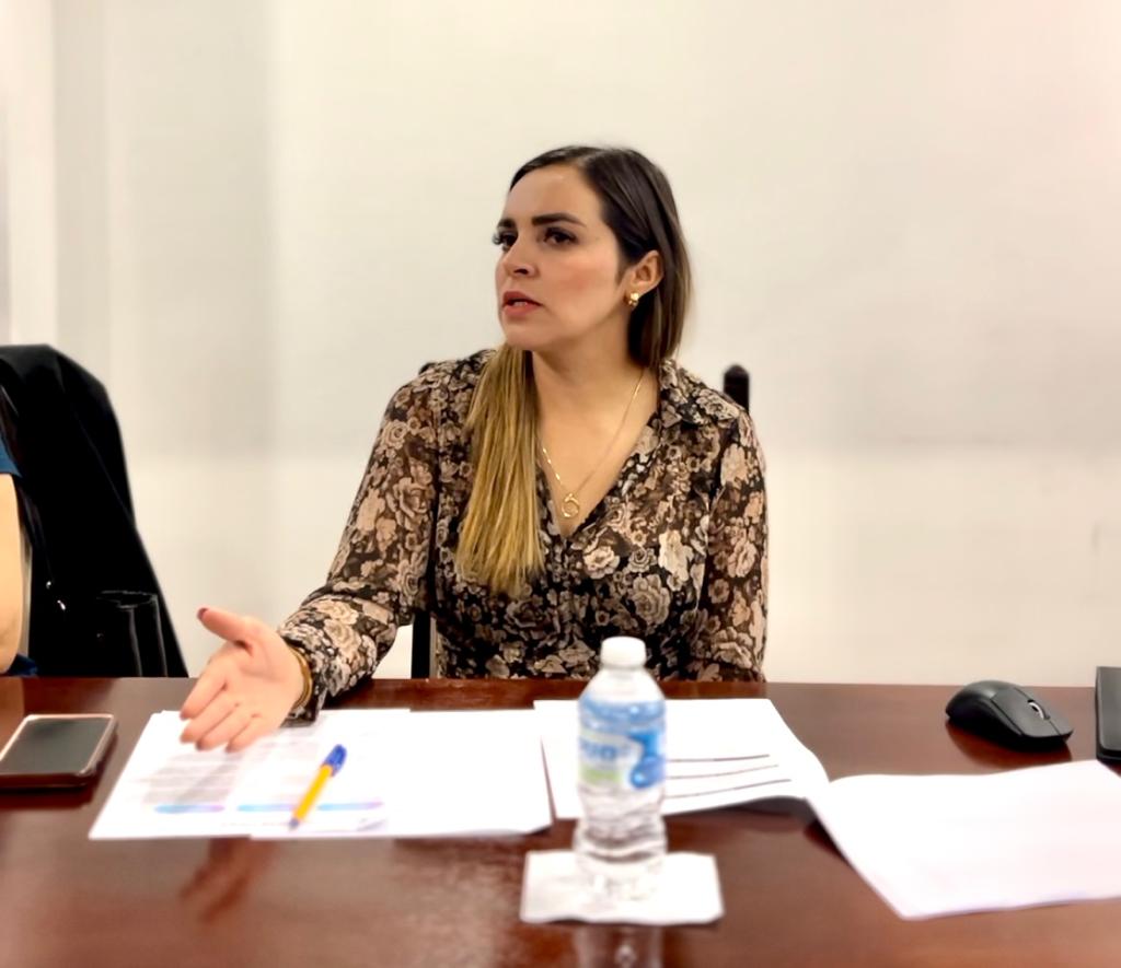 LA DIPUTADA ANA GÓMEZ CALZADA PRESENTA INICIATIVAS EN MATERIA DE CIBERDELITOS