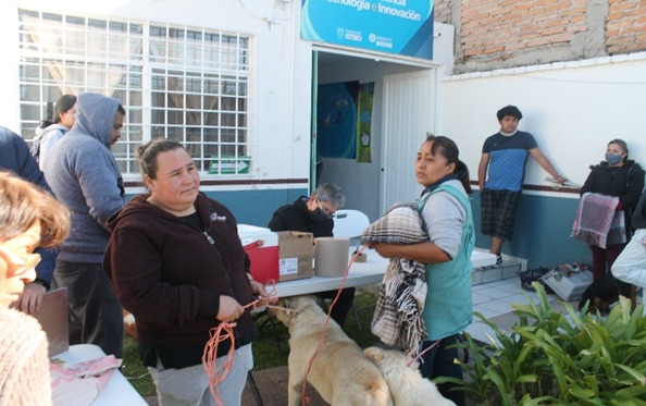 LLEVAN A CABO ESTERILIZACIÓN CANINA Y FELINA EN JESÚS MARÍA
